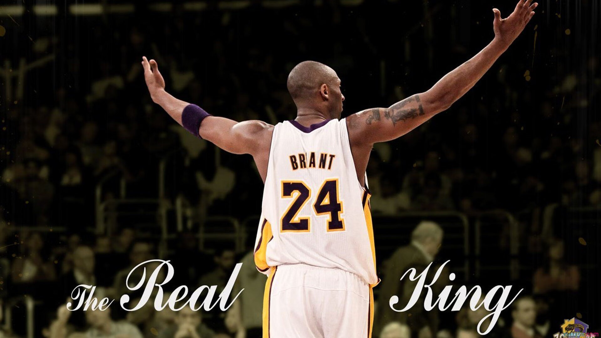 凯尔特人血拼辽宁队，当篮球宇宙的平行线在世界杯交错